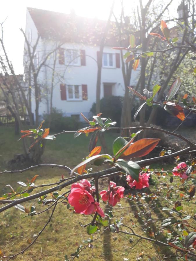 Zum Scheunenhof - Bauernhaus Ichenhausen Bagian luar foto
